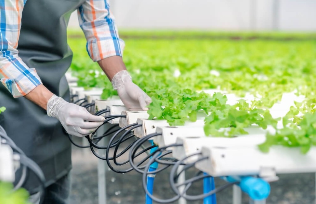 TOPRAKSIZ TARIM İÇİN SUTEK İYONİZASYON SİSTEMİ